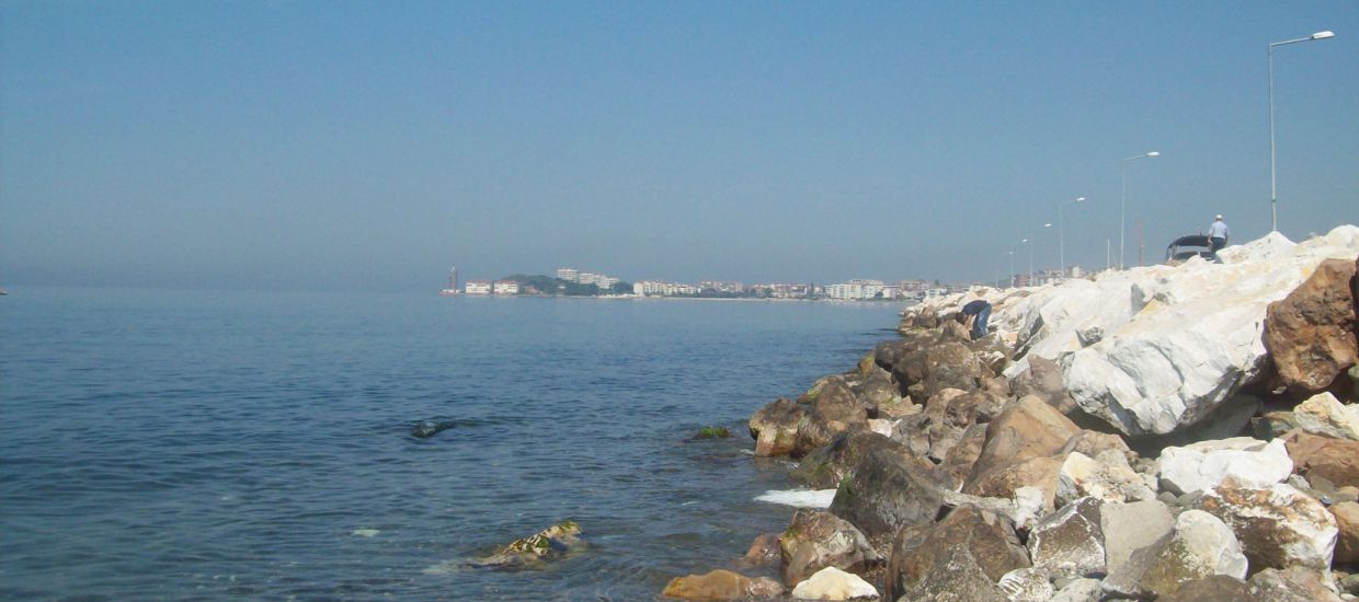 cinarcik07