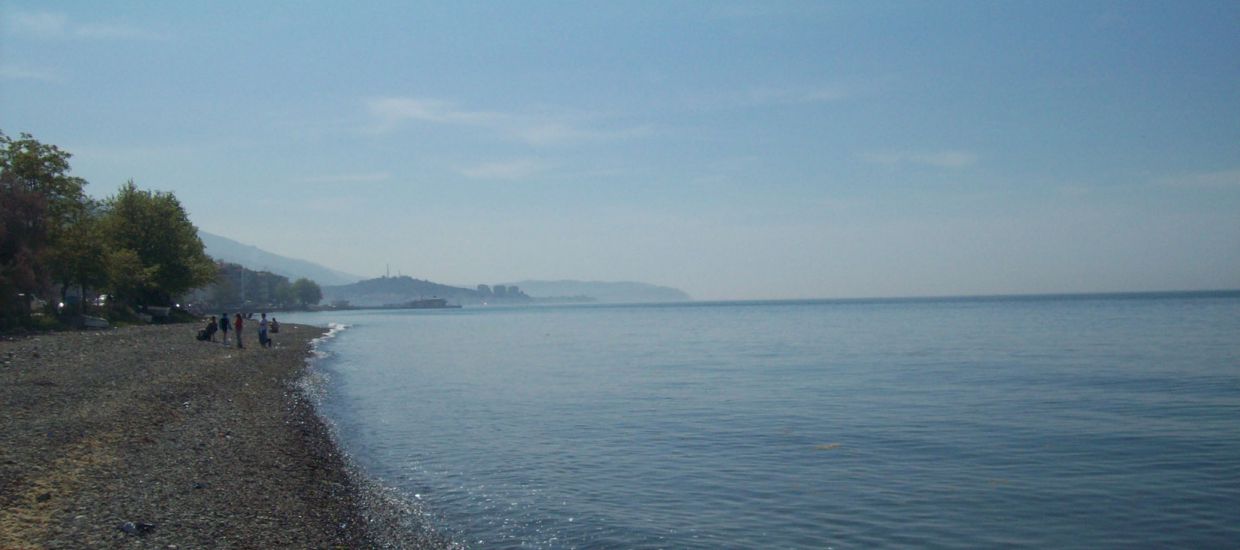 cinarcik06